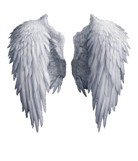 Wings PNG HD Images .